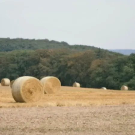 Ferienwohnung-malanders Apartment *