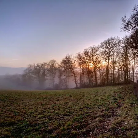Ferienwohnung-malanders Apartment Andernach
