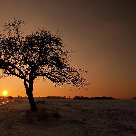 Apartment Ferienwohnung-malanders
