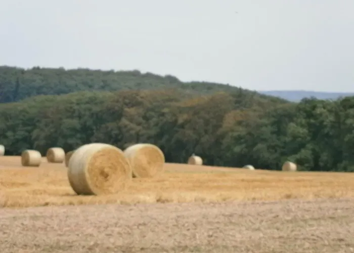 Ferienwohnung-malanders Apartmán *