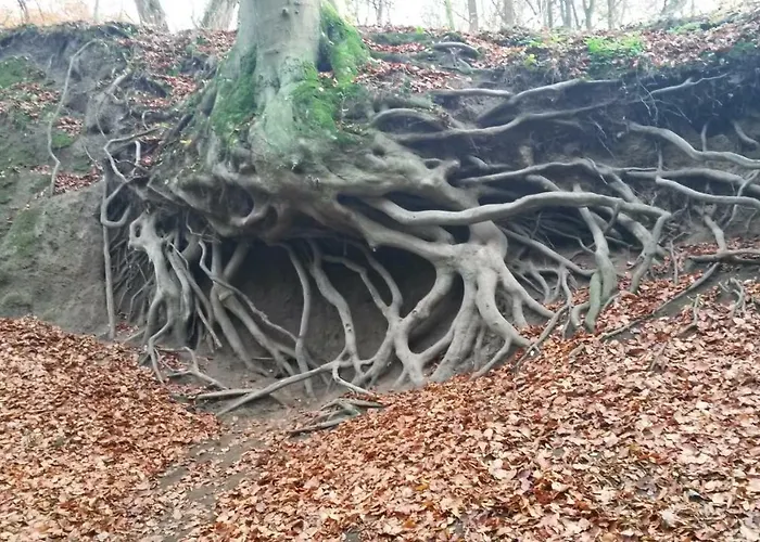 Ferienwohnung-malanders * Andernach